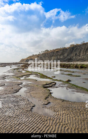 Une marée exceptionnellement basse expose la mer invisible normalement bed at Monmouth Beach sur la côte jurassique, Lyme Regis, Dorset, England, UK Banque D'Images