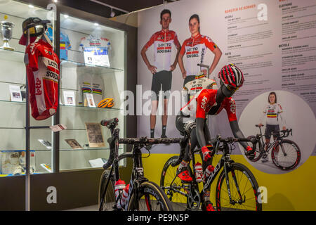 Centrum Ronde van Vlaanderen / Tour des Flandres Centre, musée dédié à la Tour des Flandres course cycliste sur route, Oudenaarde, Belgique Banque D'Images