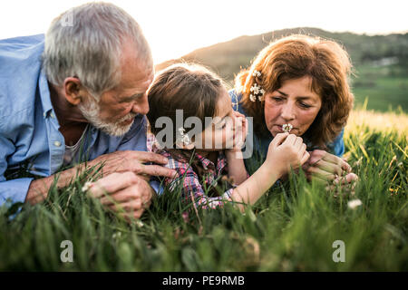 Couple avec sa petite-fille à l'extérieur au printemps de la nature, de détente sur l'herbe. Banque D'Images