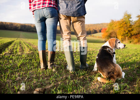 Couple avec chien sur une promenade dans une nature d'automne. Banque D'Images