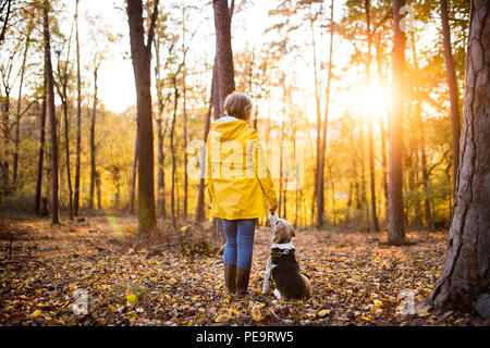 Senior woman with dog, lors d'une promenade dans une forêt d'automne. Banque D'Images