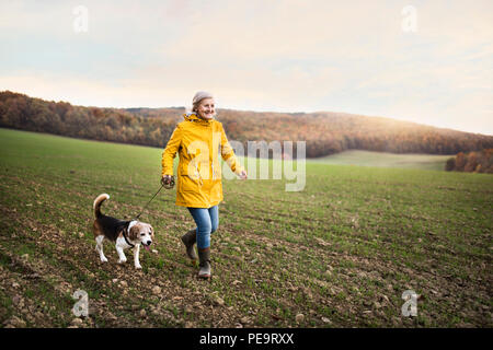 Senior woman with dog, lors d'une promenade dans une nature d'automne. Banque D'Images