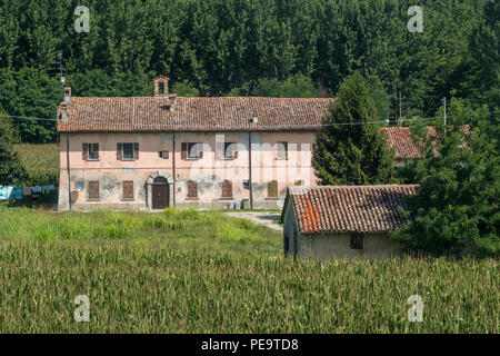 Paysage rural le long de la piste cyclable po près de Guardamiglio et San Rocco al Porto (Lodi, en Lombardie, Italie) à l'été Banque D'Images