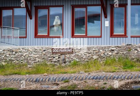 Un signe pour chien gratuit à Longyearbyen où les chiens sont utilisés comme essentiel lorsque la neige descend Banque D'Images
