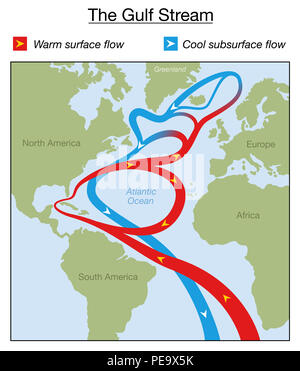 Gulf Stream graphique. Surface chaude et froide d'écoulement souterrain dans l'océan Atlantique entre l'Amérique du Nord et du Sud, en Afrique, en Europe et au Groenland. Banque D'Images