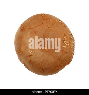 Près d'un champignon portobello brun frais isolé sur fond blanc, augmentation de la vue supérieure, juste au-dessus Banque D'Images