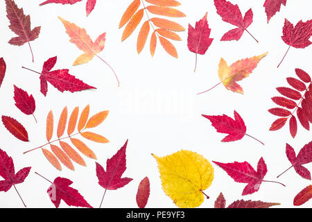 L'automne les feuilles multicolores. Bonjour Automne concept. Banque D'Images