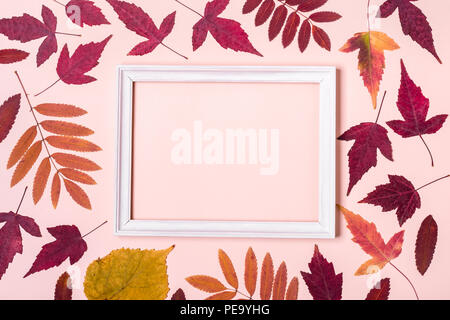 Les feuilles d'automne multicolore pastel rose sur le châssis arrière-plan. Bonjour Automne concept. Banque D'Images