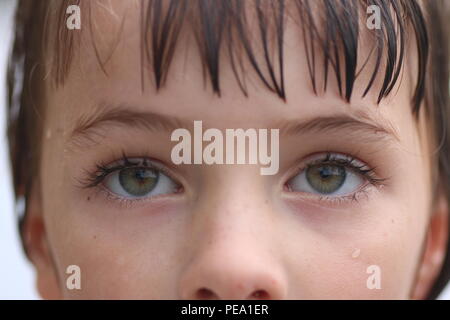 Close up d'un ensemble de jeunes yeux vert en pensée à Banque D'Images