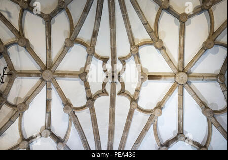 Badajoz, Espagne - Août 13th, 2018 : Metropolitan Cathedral of Saint John the Baptist de Badajoz en intérieur. Voûte manuéline Banque D'Images