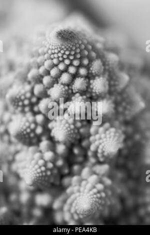Un noir et blanc, macro-vision d'un brocoli Romanesco bourgeon floral. Banque D'Images