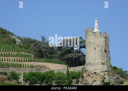 Tournon du Rhône, Rhône, Ardèche, France Banque D'Images