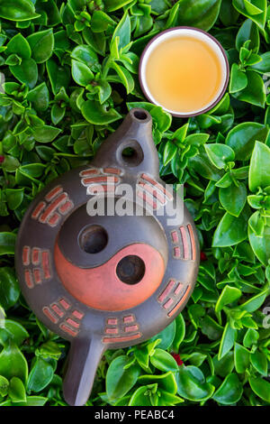 Thé fraîchement infusé dans la tasse en céramique Pot sur fond de feuillage vert. Japonais Chinois Cuisine Asiatique. Boissons sains antioxydants Detox Concept de bien-être. Banque D'Images