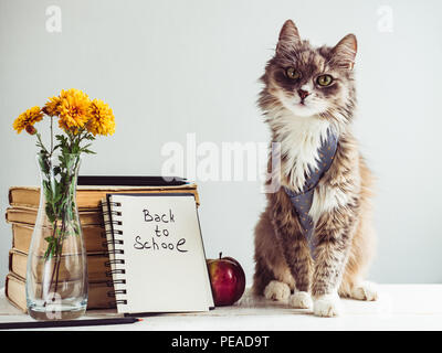 Charmant, gris, fluffy kitten, bouquet de fleurs, Vintage Books, crayons, pomme rouge et un bloc-notes avec une inscription manuscrite sur un livre blanc, Banque D'Images