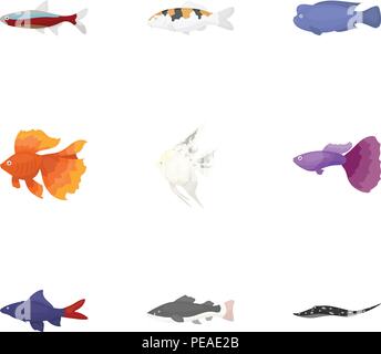Poissons d'Aquarium d'ensemble des icônes dans le style cartoon. Grande collection de poissons d'aquarium stock symbol vector Illustration de Vecteur