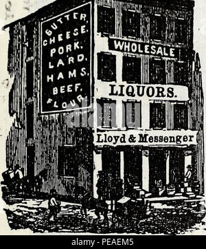 "L'État de New York, l'annuaire contenant les noms, les affaires et l'adresse de tous les commerçants, les fabricants et les hommes tout au long de l'Etat" (1867) Banque D'Images