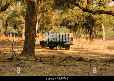 Mana Pools National Park, Zimbabwe Banque D'Images