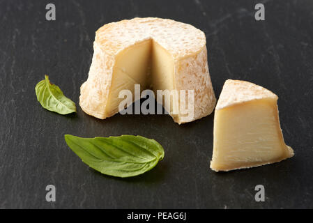 Fromage Crottin de feuilles de basilic sur fond noir en noir Banque D'Images