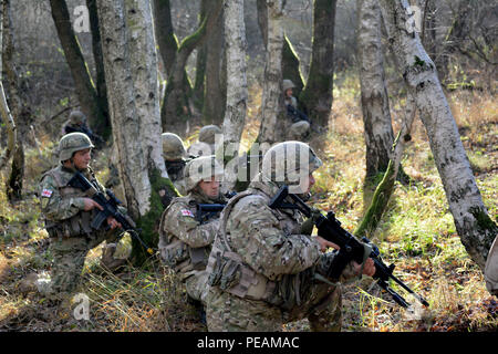 Les soldats de la République de Géorgie attendre dans une ligne d'arbres qui se préparent à attaquer un objectif pendant un exercice d'une exercice de tir réel à Grafenwoehr Domaine de formation, l'Allemagne, novembre 18. L'exercice a été l'occasion de l'événement culminant pour résoudre combiné V, une Europe de l'armée américaine-dirigé un exercice multinational avec plus de 4 000 participants de 10 l'OTAN et les pays partenaires. Résoudre combiné fournit un scénario complexe qui met l'accent sur les multinationales unified opérations terrestres et renforce l'engagement des États-Unis à l'OTAN et l'Europe. Banque D'Images