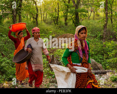 Womans indiennes travaillant dans la jungle près de la rivière de sanglier, Kaladhungi, Uttarakhand, Inde Banque D'Images