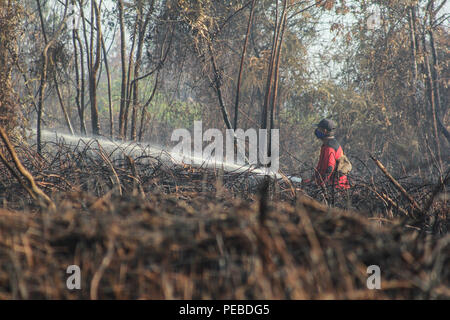 L'Indonésie, Riau, Kampar. 13 août 2018. un les pompiers pour éteindre les incendies dans les tourbières de Riau, Kampar, Indonésie, le 13 août 2018. Plusieurs provinces de l'Indonésie ont mis en état d'alerte d'urgence pour les feux de forêts et des terres. Credit : Mohammad Adam/Alamy Live News Banque D'Images