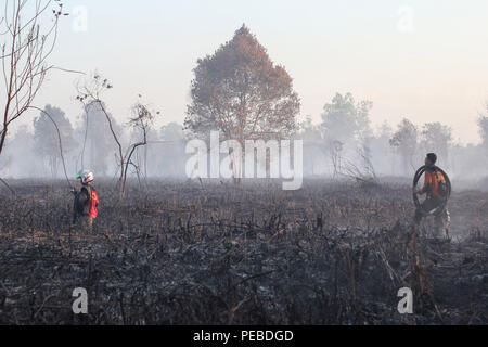 L'Indonésie, Riau, Kampar. 13Th Aug 2018. Un bombardement de l'eau a baissé d'hélicoptère de l'eau pour éteindre le feu dans la province de Riau, Kampar, Indonésie, le 13 août 2017. Les incendies de forêt et de plantation sur l'île indonésienne de Sumatra a été causé par la saison sèche. Chef des pompiers sur les lieux pour éteindre les feux de tourbières dans la région de Riau, Kampar, Indonésie, le 13 août 2018. Plusieurs provinces de l'Indonésie ont mis l'état d'alerte d'urgence pour les feux de forêts et des terres. Credit : Mohammad Adam/Alamy Live News Banque D'Images