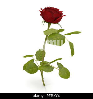 Rose rouge isolé sur blanc. 3D illustration Banque D'Images