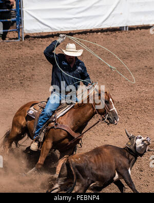 Cowboy et l'angle de coupe pour échapper au cours de veau au lasso de bovins de l'équipe compétition à la foire du comté de Ventura Le 12 août 2018 en Californie. Banque D'Images