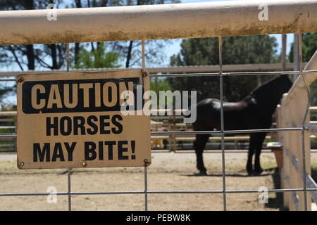 Un cheval noir et d'avertissement "Attention : Les chevaux peuvent mordre' Banque D'Images