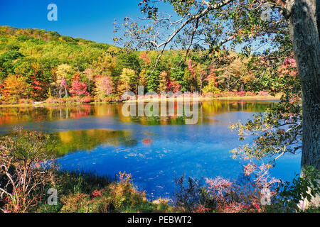 Jour de l'automne brillant Harriman State Park, New York State, USA Banque D'Images