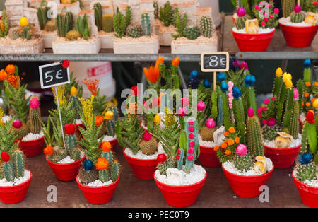 Pots colorés de cactus en vente sur stand en Provence France Banque D'Images