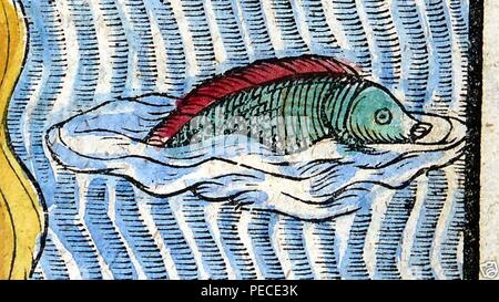 L'Asie représentée sous la forme de Pégase (avec la main) coloration moderne par Heinrich Bünting c.1590 le monstre de mer. Banque D'Images