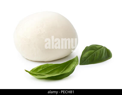 Buffalo mozzarella avec feuille de basilic isolé sur fond blanc Banque D'Images