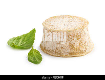 Fromage Crottin de feuilles de basilic isolé sur fond blanc Banque D'Images