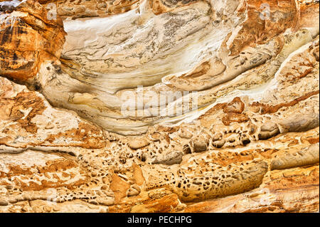 Mur de grès érodées dans les gorges de la cathédrale, le Parc National de Bungle Bungle, Territoires du Nord, Australie Banque D'Images