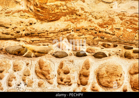 Mur de grès érodées dans les gorges de la cathédrale, le Parc National de Bungle Bungle, Territoires du Nord, Australie Banque D'Images