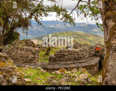 Kuelap forteresse dans la région de l'amazone près de la ville de Chachapoyas. Banque D'Images