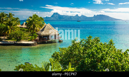 Bungalows sur pilotis avec meilleure plage pour la plongée, Tahiti, Polynésie Française, Moorea en arrière-plan Banque D'Images