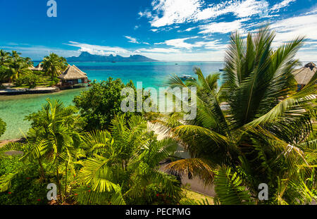 Bungalows sur pilotis avec meilleure plage pour la plongée, Tahiti, Polynésie Française, Moorea en arrière-plan Banque D'Images