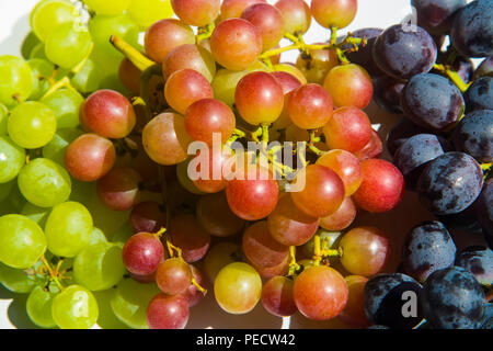 Three colors grapes. Banque D'Images