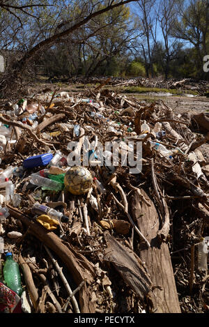 Corbeille, y compris les plastiques, obstrue les Santa Cruz, le long de la rivière Juan Batista de Anza National Historic Trail, Tubac, Arizona, USA. Banque D'Images