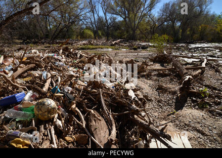 Corbeille, y compris les plastiques, obstrue les Santa Cruz, le long de la rivière Juan Batista de Anza National Historic Trail, Tubac, Arizona, USA. Banque D'Images
