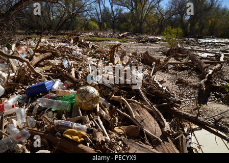 Corbeille, y compris les plastiques, obstrue les Santa Cruz, le long de la rivière Juan Batista de Anza National Historic Trail, Tubac, Arizona, USA. Banque D'Images