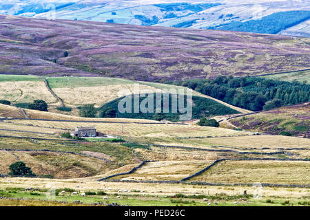 À l'échelle de Nidderdale Greenhow colline en direction de la vallée et Nidd dans Yorkshire du Nord Campsites Canet-en-Roussillon Banque D'Images