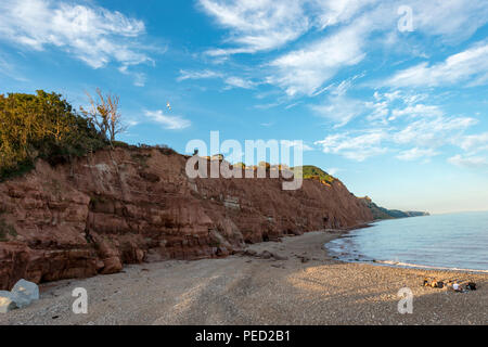 Salcombe Hill, Falaise, Cornwall, Devon, UK Banque D'Images