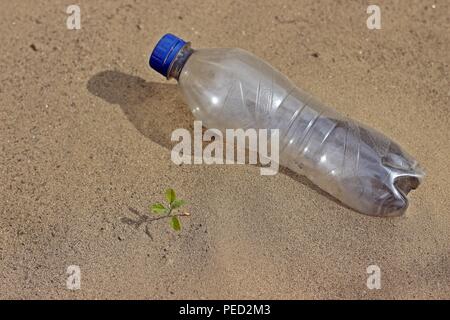 Plante verte bouteille en plastique Banque D'Images