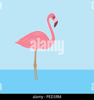 Flamant rose dans l'eau illustration vecteur EPS10 Illustration de Vecteur