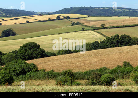 Près de champs desséchés Dunsford, Dartmoor National Park, ensilage, balle, tracteur, ferme, l'herbe, du foin, de l'Agriculture, de l'agriculteur, de fonds, d'entreprises, Cercle, Combi Banque D'Images