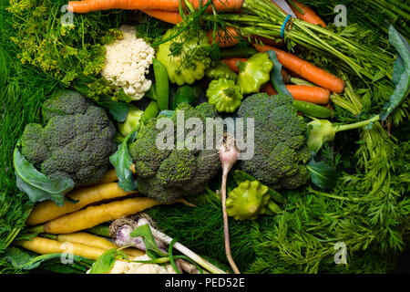 Les légumes frais. Carotte, petits pois, chou-fleur, concombre, brocoli, l'ail, aneth, persil, patissons sur un fond gris. Concept de jardinage récolte Banque D'Images