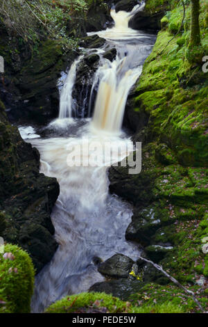 Afon Cynfal Cynfal Ceunant qui passe par la réserve naturelle nationale pour le sud de l'Llanffestiniog  dans le Nord du Pays de Galles.( couleur corrigée) Banque D'Images